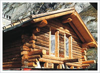 Rotex - Reference - Macugnaga